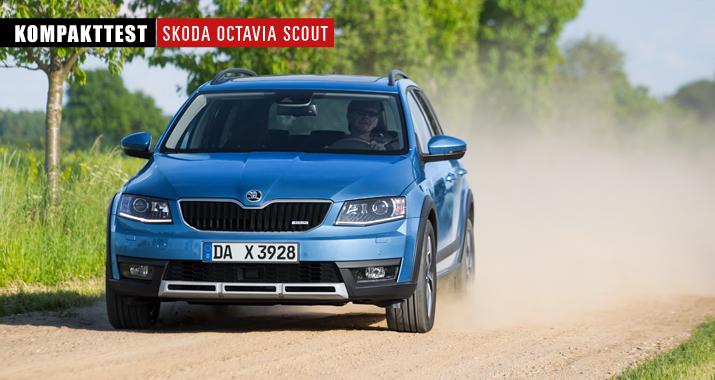 fileadmin/user_upload/webseiten_daten/aktuell/Testberichte/Kompakttest_Octavia/Titelbild_Octavia_Scout.jpg